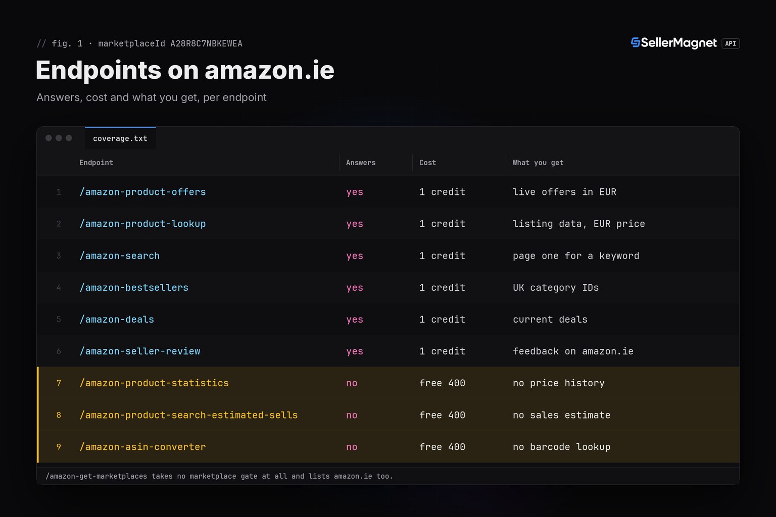 Terminal-theme table of which SellerMagnet API endpoints answer for amazon.ie and what each costs